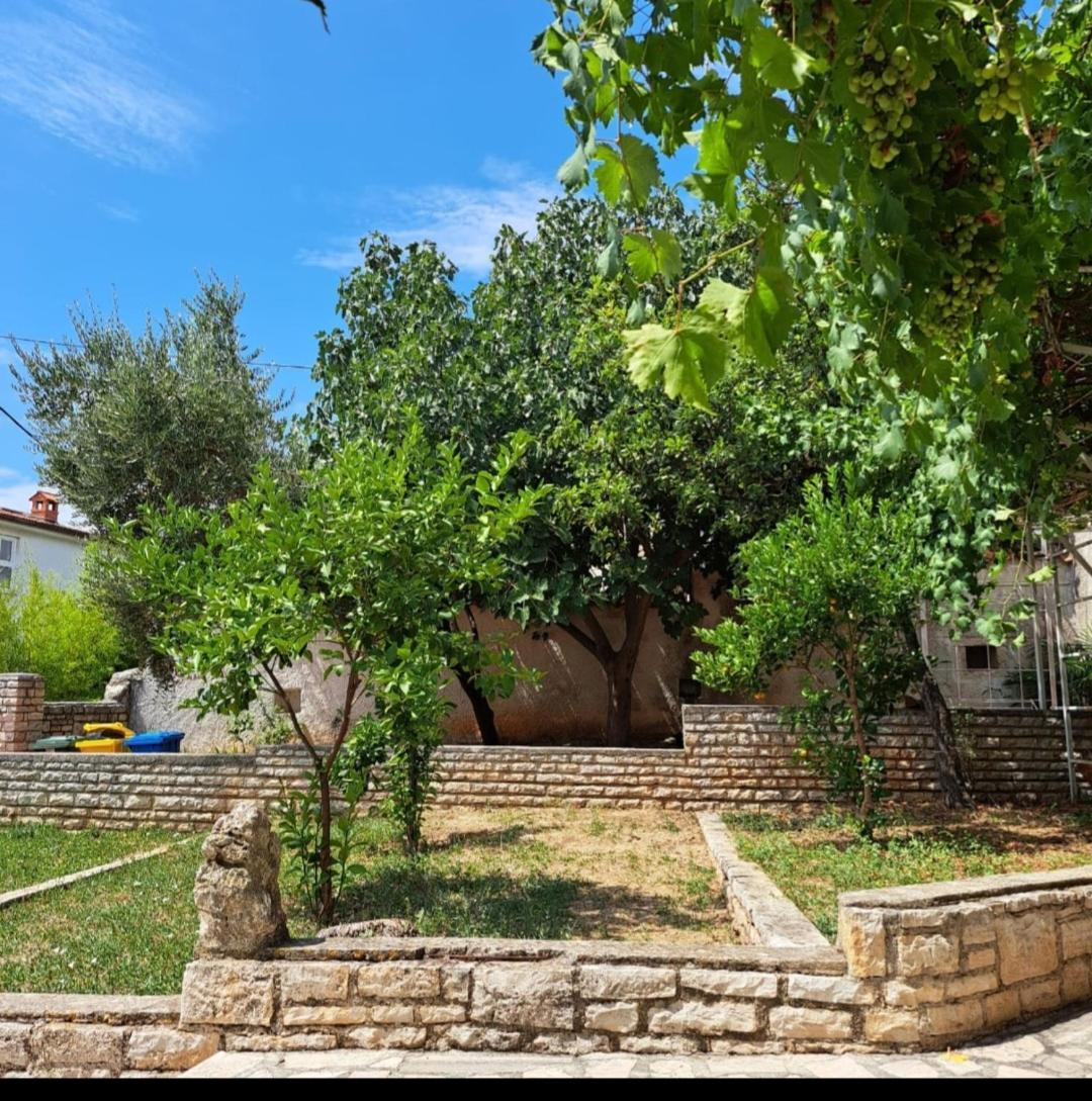 Villa Giulia Ližnjan Exteriör bild