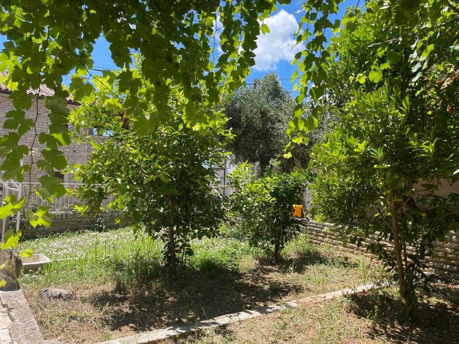 Villa Giulia Ližnjan Exteriör bild